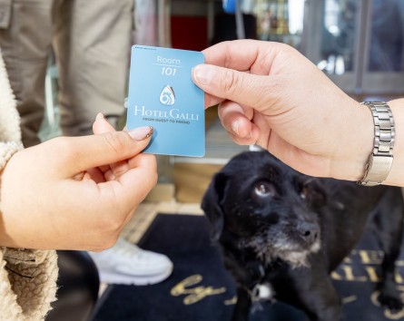 Hotel pet friendly