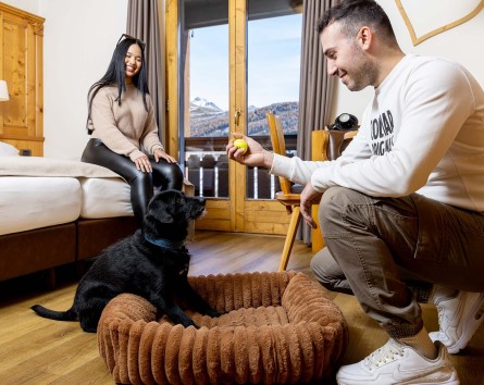 Hotel pet friendly